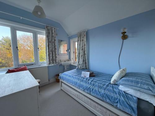 a bedroom with a bed with blue walls and windows at Thin End in Seaview