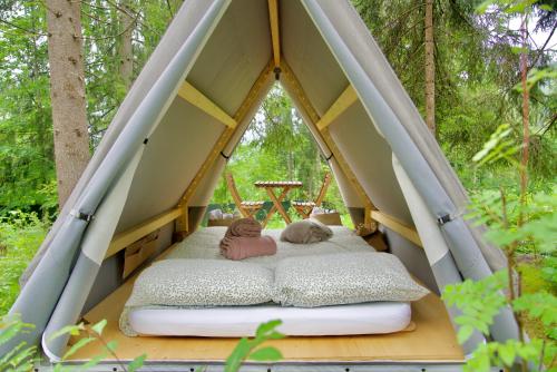 a bed in a tent in the woods at Campeggio Treinke Sauris in Sauris