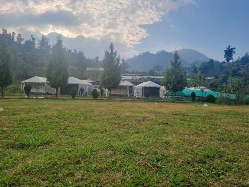 Un campo con un grupo de tiendas de campaña y árboles. en Oak Valley Camp, en Mussoorie