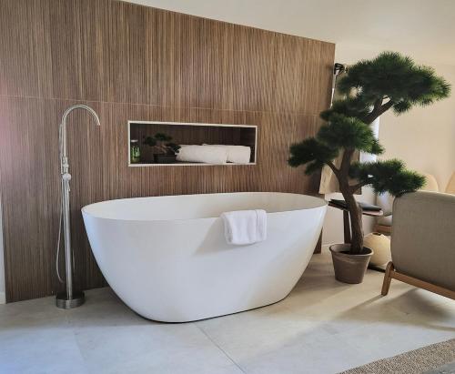 Koupelna v ubytování Suite Japonaise Pezenas