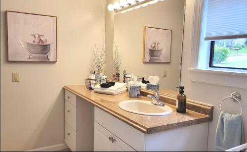 a bathroom with a sink and a mirror at The Great Escape, Black Mountain in Black Mountain