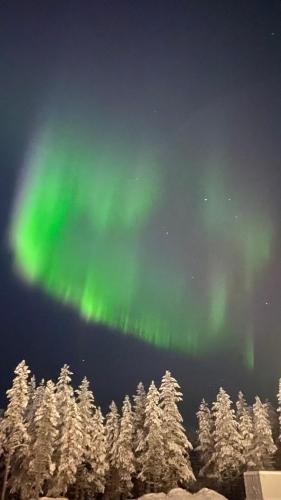 Billede fra billedgalleriet på Arctic Apartment i Rovaniemi