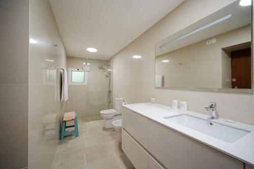 a bathroom with a sink and a toilet and a mirror at Valle Paraizo in Camacha