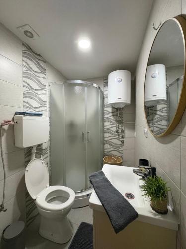 Ένα μπάνιο στο Apartman Brankovic