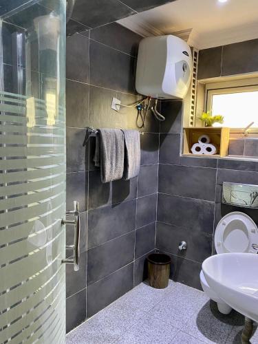 a bathroom with a shower and a toilet and a sink at Stylish Modern Elegance Deluxe Suite in Lagos