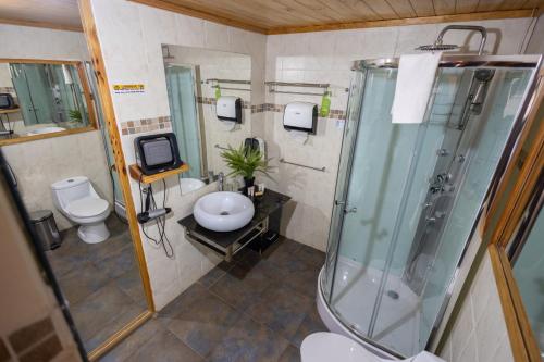 San Francisco Lodge في لوس أوديس: حمام مع دش ومرحاض ومغسلة