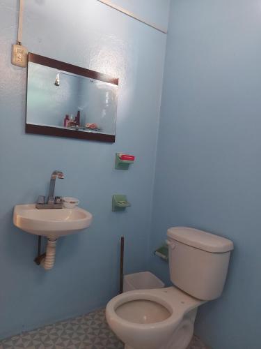 a blue bathroom with a toilet and a sink at In Oaxaca Casa RodSa in San Agustin de las Juntas