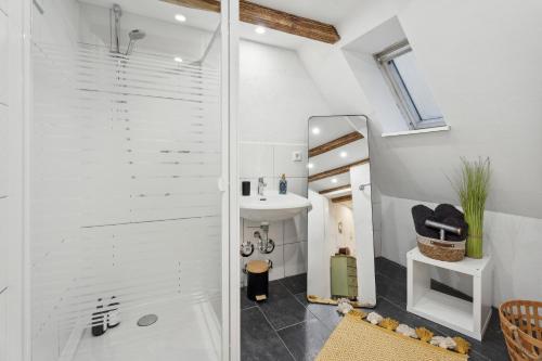 a bathroom with a shower and a sink at "Alte Post" in Münsingen