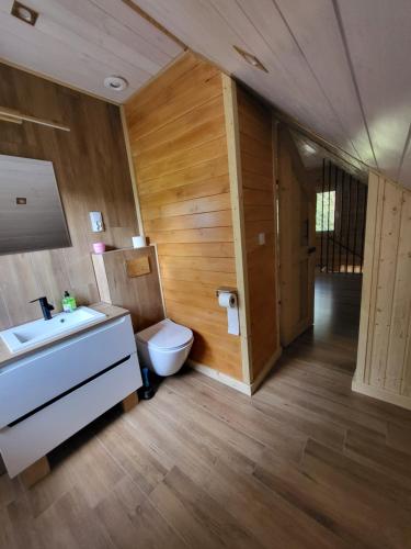 Domek nad jeziorem Wilczyńskim في Świętne: حمام مع مرحاض أبيض ومغسلة