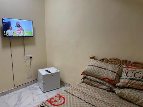 Μια τηλεόραση ή/και κέντρο ψυχαγωγίας στο Prof's Villa