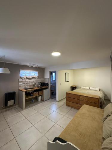 a bedroom with a bed and a desk and a sink at Travesia Sur Hostel in El Bolsón