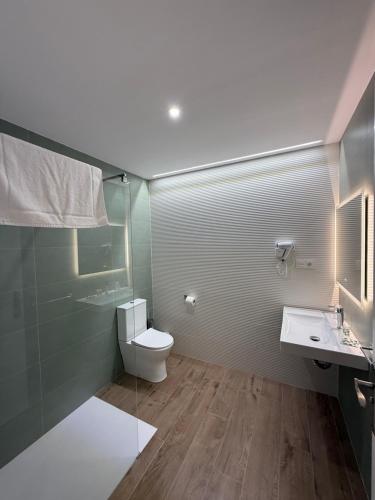 a bathroom with a toilet and a sink at Apartamento LORETO - Hotel Ruta del Segur in Pontones