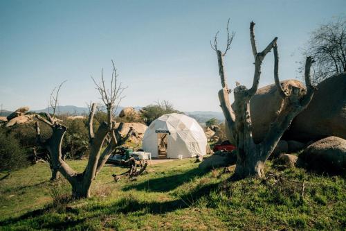Příroda nedaleko luxury tent