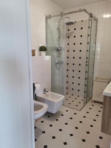 a bathroom with a shower and a toilet and a sink at Pogled Ada 1 in Belgrade
