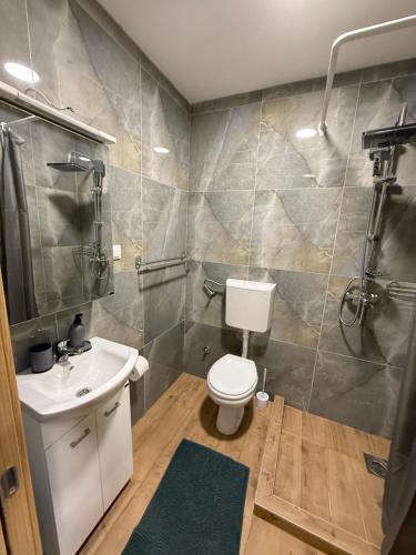 een badkamer met toilet en wastafel bij Apartman Rest Novi Sad in Novi Sad