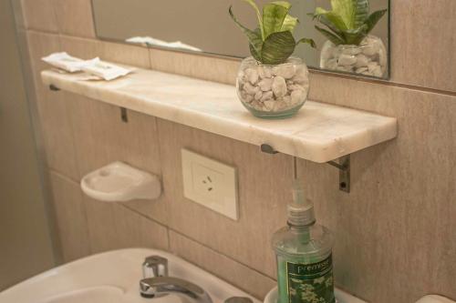 a bathroom with a sink and a shelf with a plant at Puerto Mineral Hotel & Golf in Capioví