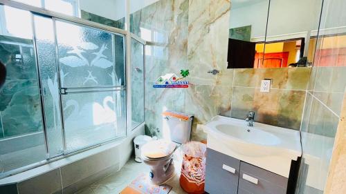 a bathroom with a shower and a toilet and a sink at Belo Résidence in Cap-Haïtien