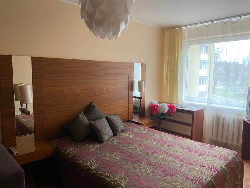 ein Schlafzimmer mit einem Bett und einem großen Fenster in der Unterkunft Amber apartamentai in Druskininkai