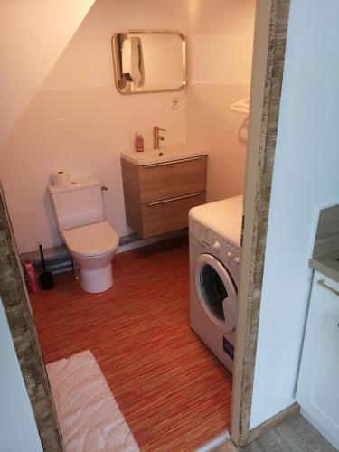 a bathroom with a toilet and a washing machine at L'instant Doubs in Baume-les-Dames