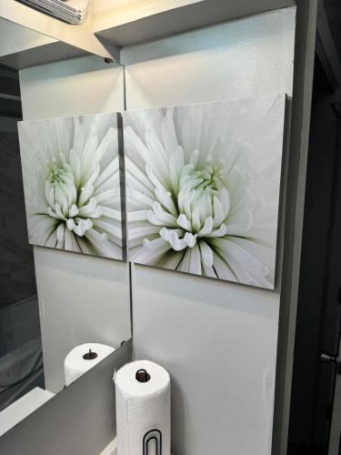 a bathroom with two rolls of toilet paper on the wall at Cozy Vintage Ranch in Fayetteville
