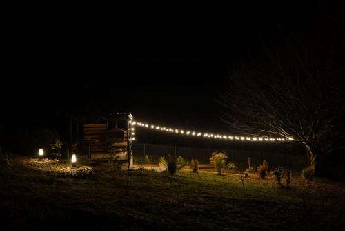 a string of lights on a fence at night at Wooden Villa Sormoni in Tskaltubo