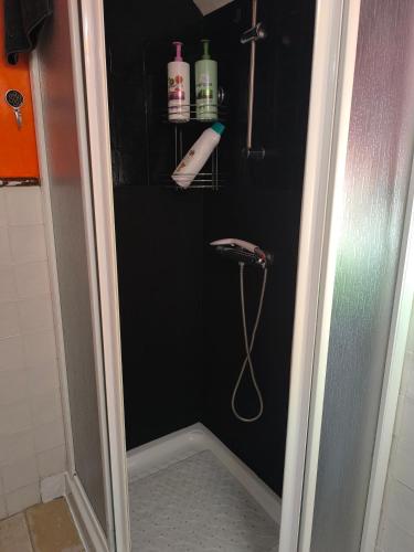 a bathroom with a shower with a sink and a shower at the monument's duplex bello in San Juan de Aznalfarache