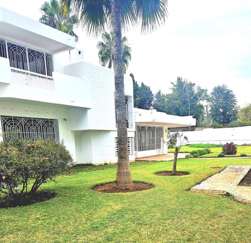 Oulad AkkouにあるVilla Luxury Suissi Rabatの白家前のヤシの木