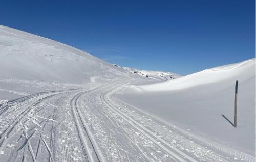 a snow covered road with tracks in the snow at Awesome Home In Tjørhom in Haugen