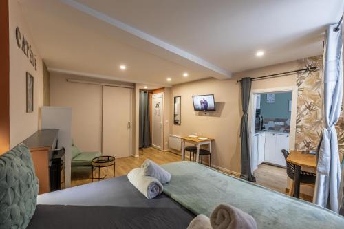 LE CATELE - Studio RIOM - 3 pers - Vulcania - Puy de Dôme - Proche Clermont Ferrand