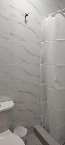 a white bathroom with a toilet and a shower at Hostal los pulpos in Bombiso