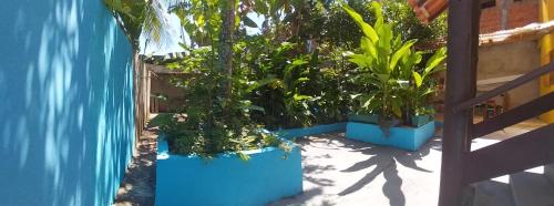 En have udenfor BOIPEBA Cantinho do Mirko 3