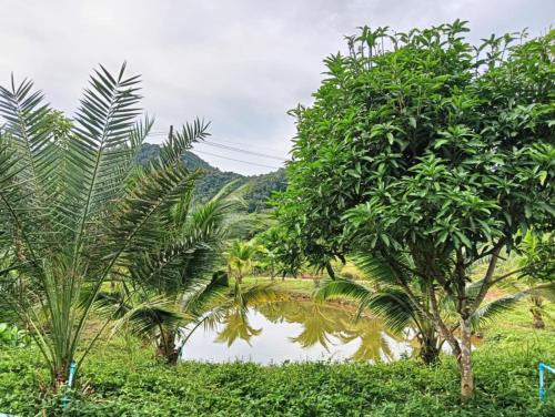 Natuurlandschap vlak bij het vakantiehuis