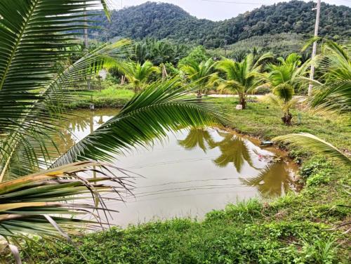 Natuurlandschap vlak bij het vakantiehuis