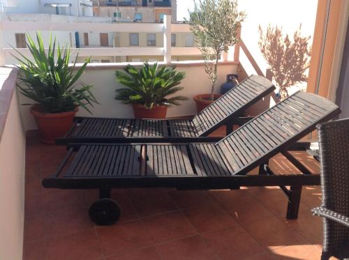 アルゲーロにあるVillaMarì Apartmentの植物のあるバルコニーに座るベンチ2台