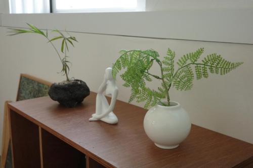 two vases and two plants on a wooden shelf at 10 minutes from Hongdae pure rest in Yeonhui in Samgong