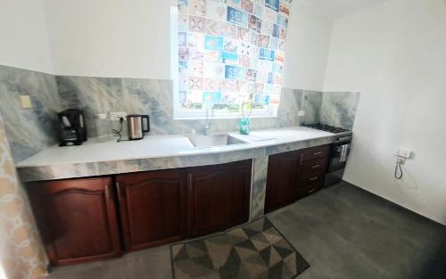a small kitchen with a sink and a window at Azure Villa in Belle Mare
