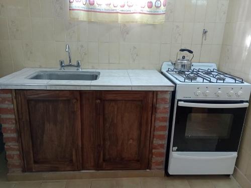 Kuchyň nebo kuchyňský kout v ubytování Lo de mis viejos