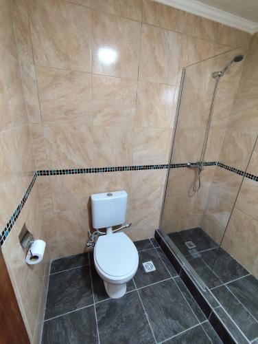 a bathroom with a toilet and a shower at Luluk, Casa de playa in Balneario Pehuén-Có