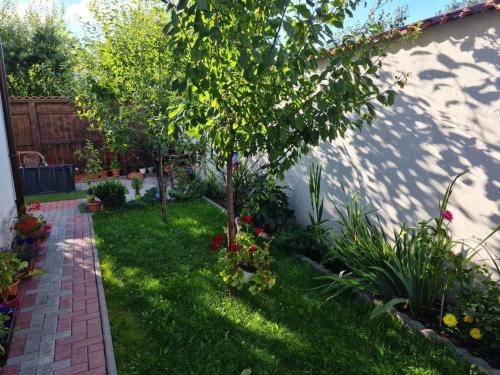 un giardino con un piccolo albero e alcune piante di Vila Sebas a Zărneşti
