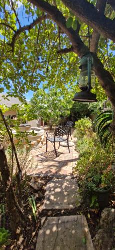 una luce appesa a un albero con una panchina di Goedehoop a Somerset West