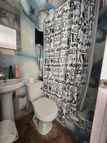 a bathroom with a toilet and a sink and a shower curtain at Cabaña Valle del Yeso in El Manzanito