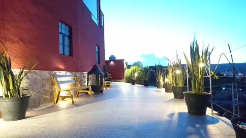 a patio with potted plants on a building at La Vista in Guanajuato