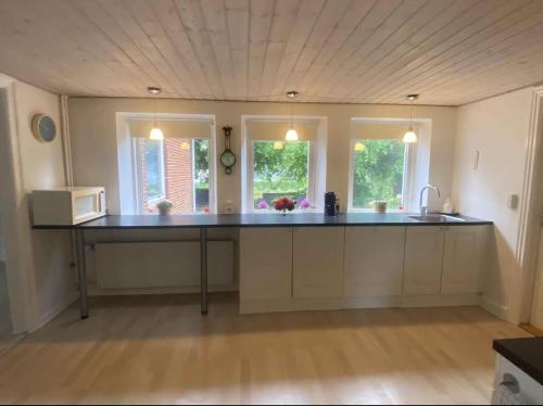 TommerupにあるThe Coziest Farm Holiday In The Countrysideのキッチン(カウンタートップ、窓2つ付)