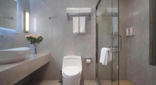 Vienna Hotel Zhejiang Tongxiang Puyuan في Puyuan: حمام مع مرحاض ومغسلة ودش