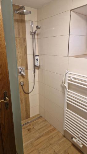 a bathroom with a shower with a glass door at Ferienwohnung Stabentheiner in Simmerlach
