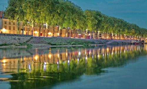 Blick auf einen Fluss mit Gebäuden und Bäumen in der Unterkunft Studio Bourgogne 20 in Orléans