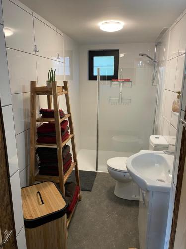 a bathroom with a toilet and a shower and a sink at La Luna in Lanaken