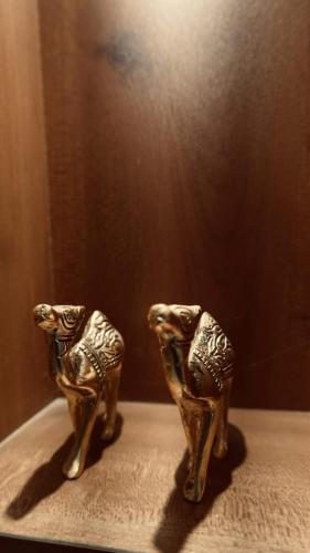 Fotografie z fotogalerie ubytování Mystery palace v destinaci Varkala