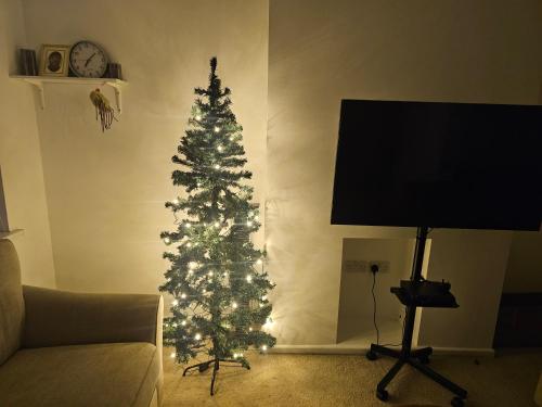 Een TV en/of entertainmentcenter bij 14 london road
