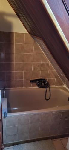 Studio Colmar avec jardin privatif